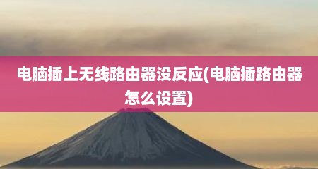 电脑插上无线路由器没反应(电脑插路由器怎么设置)