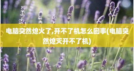 电脑突然熄火了,开不了机怎么回事(电脑突然熄灭开不了机)