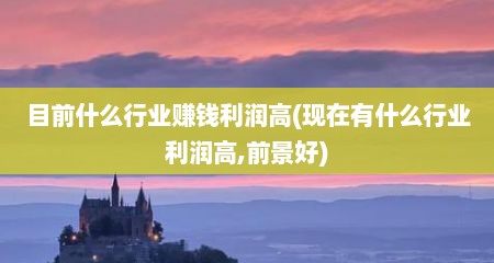目前什么行业赚钱利润高(现在有什么行业利润高,前景好)
