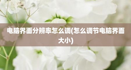 电脑界面分辨率怎么调(怎么调节电脑界面大小)