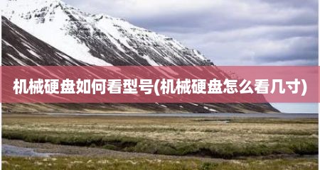 机械硬盘如何看型号(机械硬盘怎么看几寸)