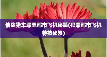 侠盗猎车罪恶都市飞机秘籍(犯罪都市飞机特技秘笈)