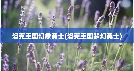 洛克王国幻象勇士(洛克王国梦幻勇士)