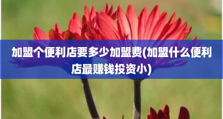 加盟个便利店要多少加盟费(加盟什么便利店最赚钱投资小)