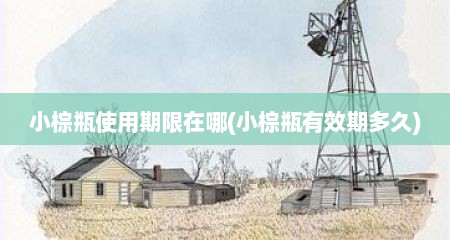 小棕瓶使用期限在哪(小棕瓶有效期多久)