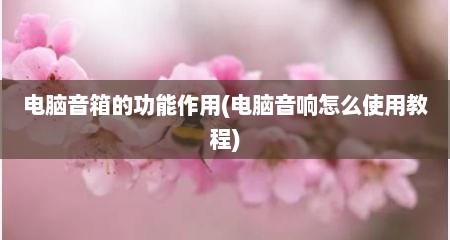 电脑音箱的功能作用(电脑音响怎么使用教程)