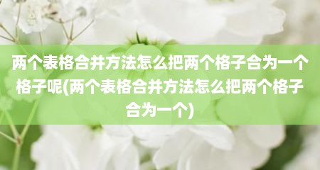 两个表格合并方法怎么把两个格子合为一个格子呢(两个表格合并方法怎么把两个格子合为一个)