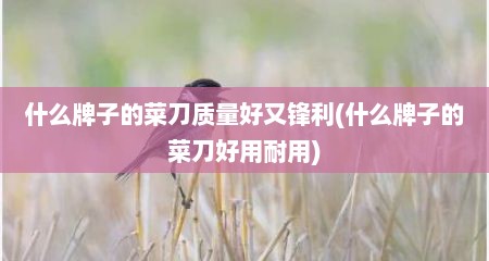 什么牌子的菜刀质量好又锋利(什么牌子的菜刀好用耐用)