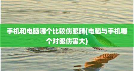手机和电脑哪个比较伤眼睛(电脑与手机哪个对眼伤害大)