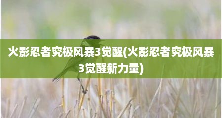 火影忍者究极风暴3觉醒(火影忍者究极风暴3觉醒新力量)