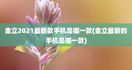金立2021最新款手机是哪一款(金立最新的手机是哪一款)
