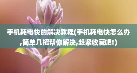 手机耗电快的解决教程(手机耗电快怎么办,简单几招帮你解决,赶紧收藏吧!)
