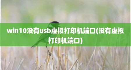 win10没有usb虚拟打印机端口(没有虚拟打印机端口)