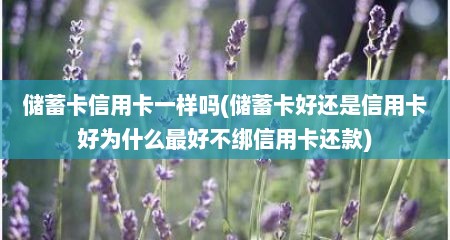 储蓄卡信用卡一样吗(储蓄卡好还是信用卡好为什么最好不绑信用卡还款)