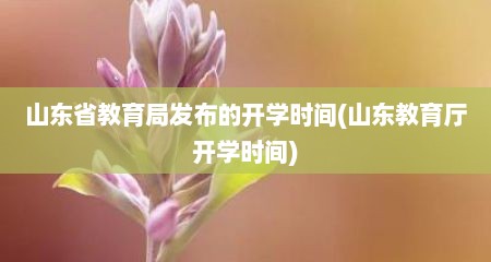 山东省教育局发布的开学时间(山东教育厅开学时间)