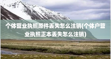 个体营业执照原件丢失怎么注销(个体户营业执照正本丢失怎么注销)
