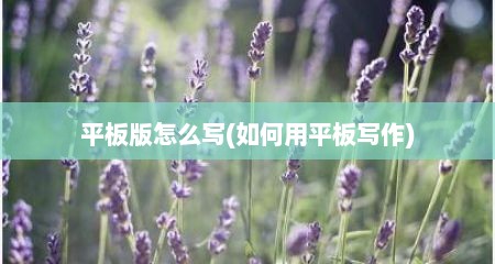 平板版怎么写(如何用平板写作)
