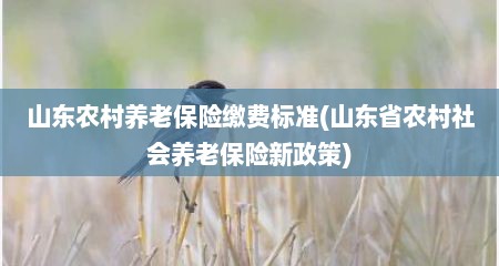 山东农村养老保险缴费标准(山东省农村社会养老保险新政策)