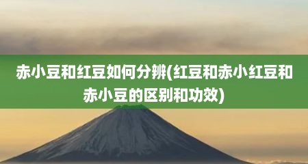 赤小豆和红豆如何分辨(红豆和赤小红豆和赤小豆的区别和功效)