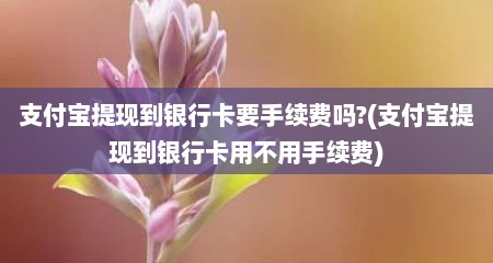 支付宝提现到银行卡要手续费吗?(支付宝提现到银行卡用不用手续费)