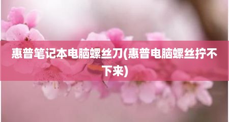 惠普笔记本电脑螺丝刀(惠普电脑螺丝拧不下来)