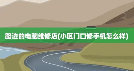 路边的电脑维修店(小区门口修手机怎么样)