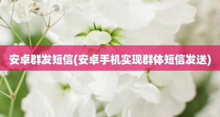 安卓群发短信(安卓手机实现群体短信发送)