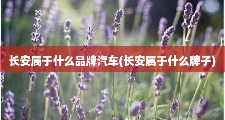 长安属于什么品牌汽车(长安属于什么牌子)