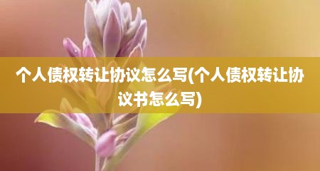 个人债权转让协议怎么写(个人债权转让协议书怎么写)