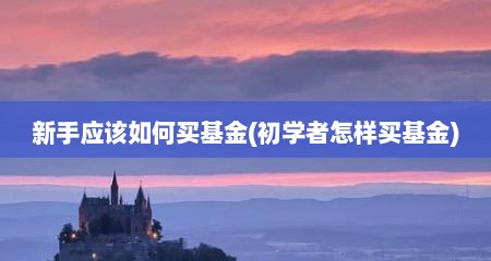 新手应该如何买基金(初学者怎样买基金)