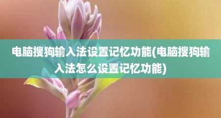 电脑搜狗输入法设置记忆功能(电脑搜狗输入法怎么设置记忆功能)