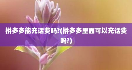 拼多多能充话费吗?(拼多多里面可以充话费吗?)