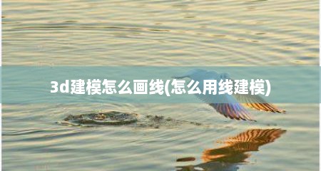 3d建模怎么画线(怎么用线建模)