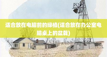 适合放在电脑前的绿植(适合放在办公室电脑桌上的盆栽)