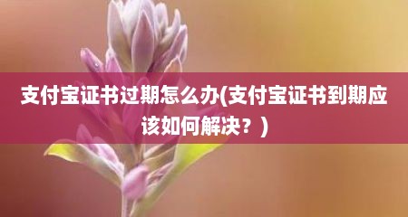 支付宝证书过期怎么办(支付宝证书到期应该如何解决？)
