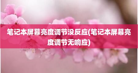 笔记本屏幕亮度调节没反应(笔记本屏幕亮度调节无响应)