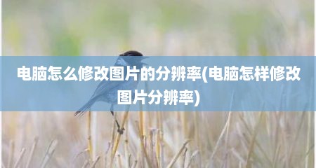 电脑怎么修改图片的分辨率(电脑怎样修改图片分辨率)