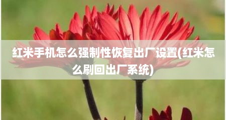 红米手机怎么强制性恢复出厂设置(红米怎么刷回出厂系统)