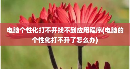 电脑个性化打不开找不到应用程序(电脑的个性化打不开了怎么办)