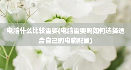 电脑什么比较重要(电脑重要吗如何选择适合自己的电脑配置)
