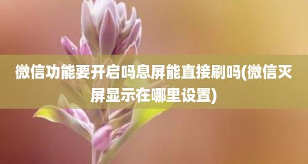 微信功能要开启吗息屏能直接刷吗(微信灭屏显示在哪里设置)