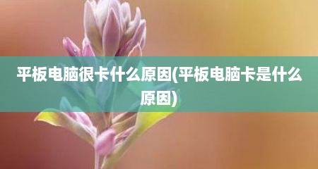 平板电脑很卡什么原因(平板电脑卡是什么原因)