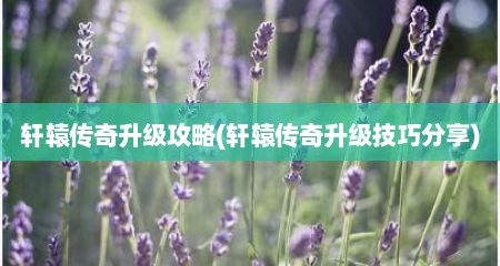 轩辕传奇升级攻略(轩辕传奇升级技巧分享)