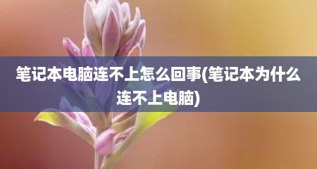 笔记本电脑连不上怎么回事(笔记本为什么连不上电脑)