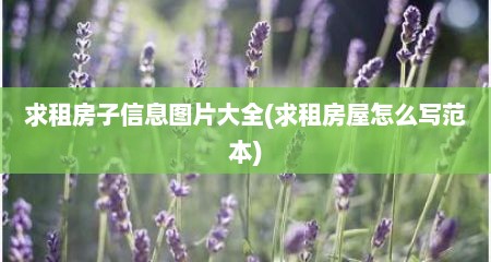 求租房子信息图片大全(求租房屋怎么写范本)