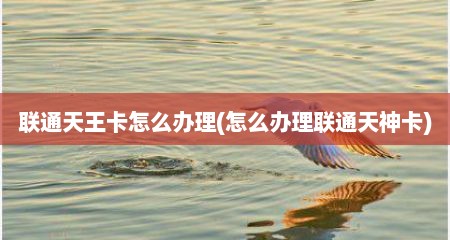 联通天王卡怎么办理(怎么办理联通天神卡)