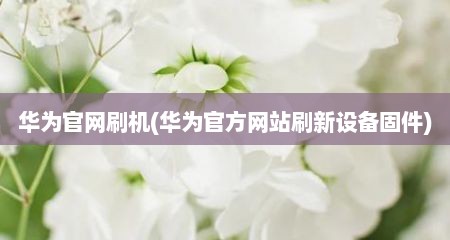 华为官网刷机(华为官方网站刷新设备固件)