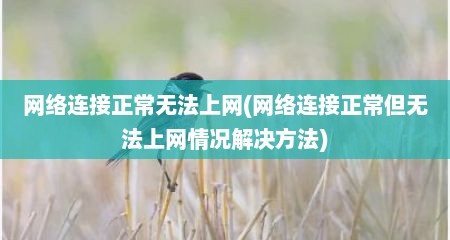 网络连接正常无法上网(网络连接正常担无法上网情况解决方法)