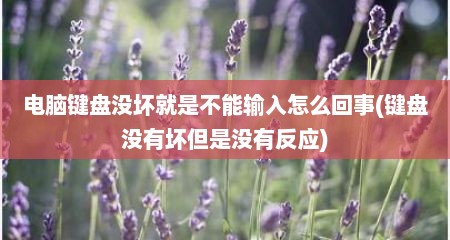 电脑键盘没坏就是不能输入怎么回事(键盘没有坏但是没有反应)
