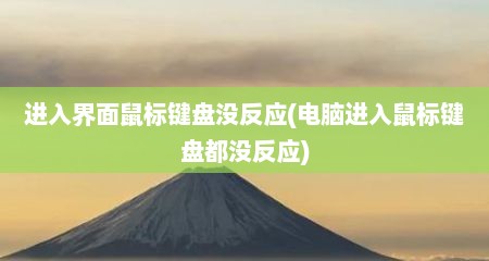 进入界面鼠标键盘没反应(电脑进入鼠标键盘都没反应)